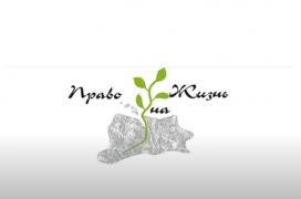 ГБУ РБ Чишминский интернат